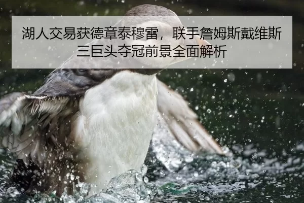 湖人交易获德章泰穆雷，联手詹姆斯戴维斯三巨头夺冠前景全面解析
