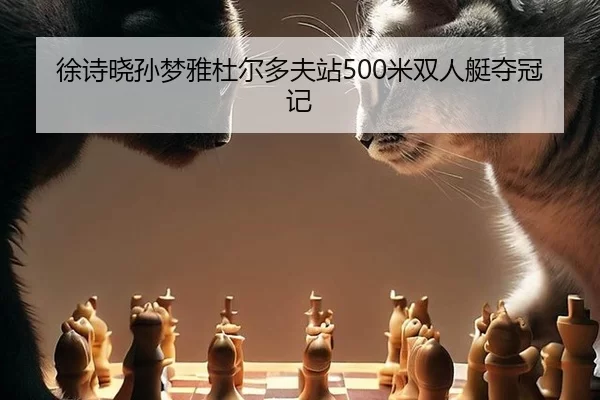 xu-shi-xiao-sun-meng-ya-du-er-duo-fu-zhan-mi-shuang-ren-ting-duo-guan-ji-2-494.jpg