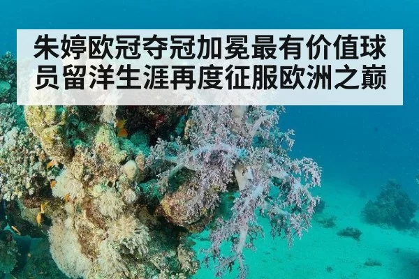 朱婷欧冠夺冠加冕最有价值球员留洋生涯再度征服欧洲之巅