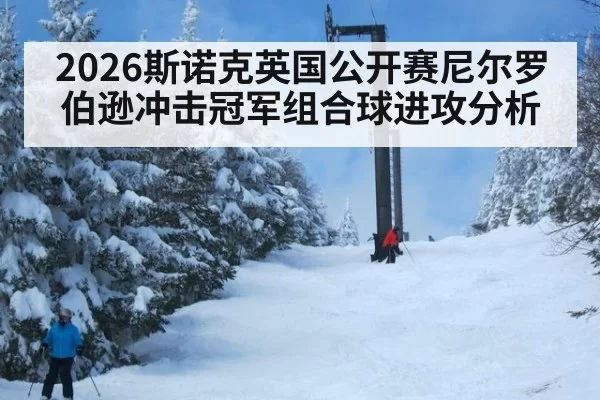 2026斯诺克英国公开赛尼尔罗伯逊冲击冠军组合球进攻分析